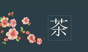 ʱ֮˲Ӫҵչڲ֪ʶѵ
